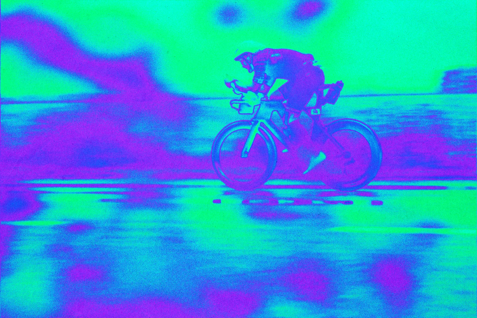 Triathlon